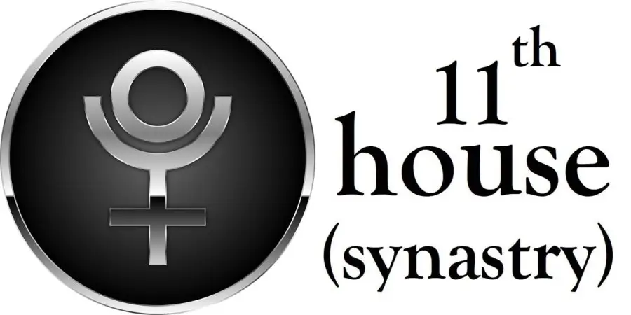 Pluto in 11th House Synastry