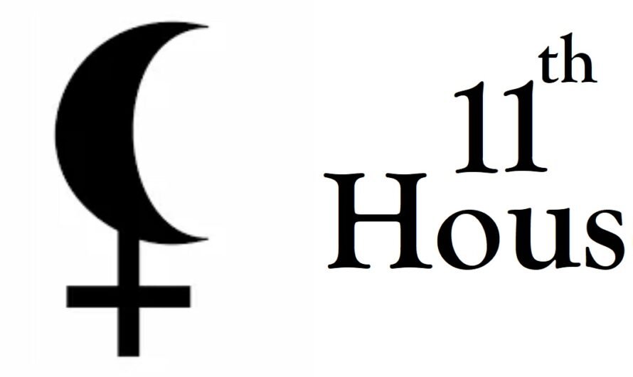 Lilith in 11th House