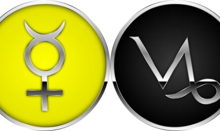 Mercury in Capricorn
