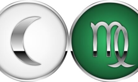 Moon in Virgo