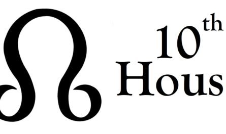 North Node in 10th House