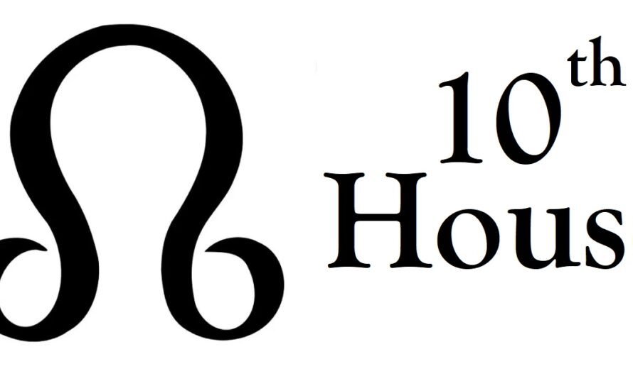 North Node in 10th House