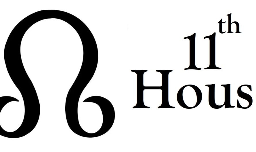 North Node in 11th House