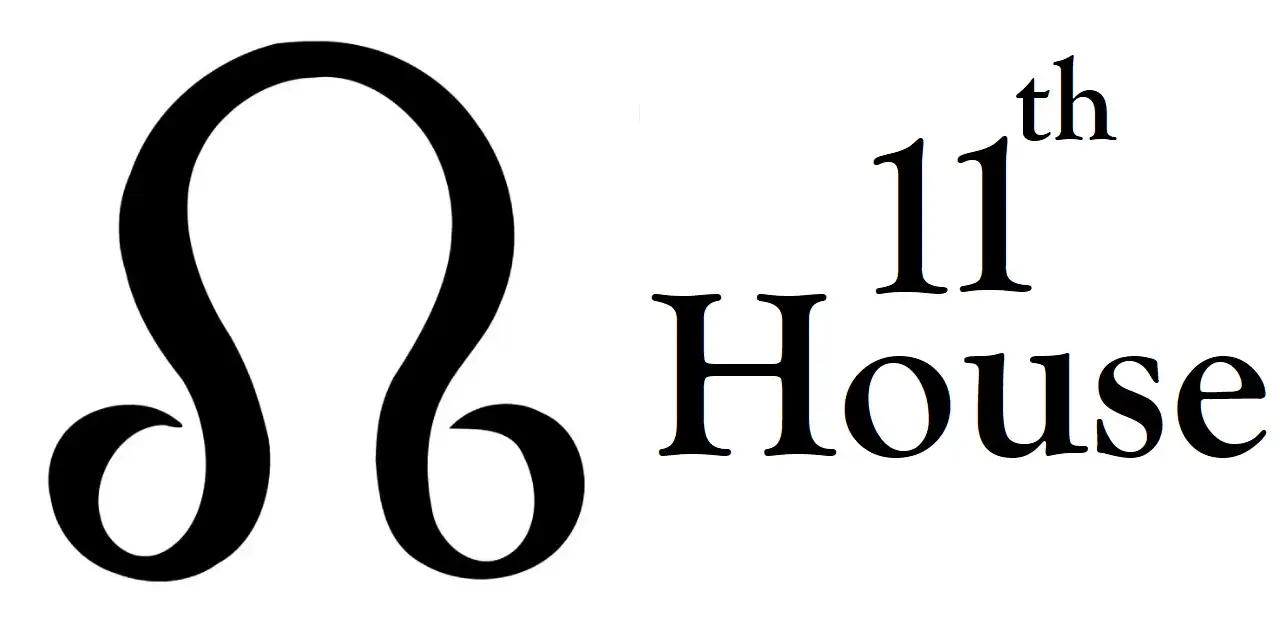 North Node in 11th House