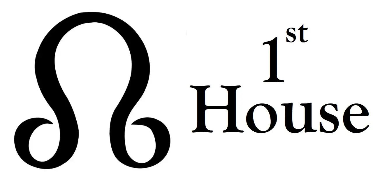 North Node in 1st House