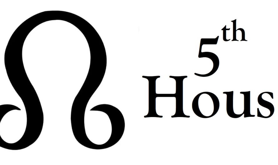 North Node in 5th House