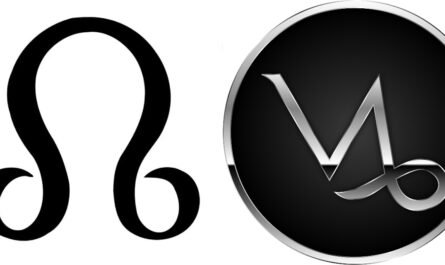 North Node in Capricorn