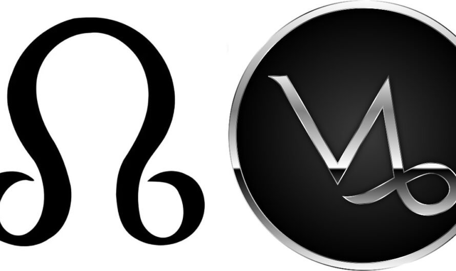 North Node in Capricorn