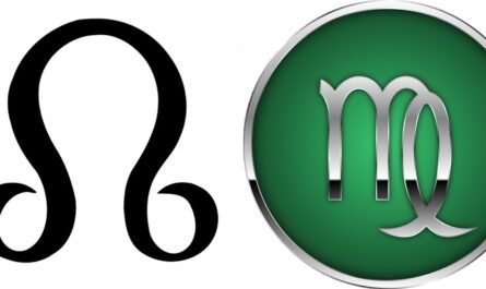 North Node in Virgo