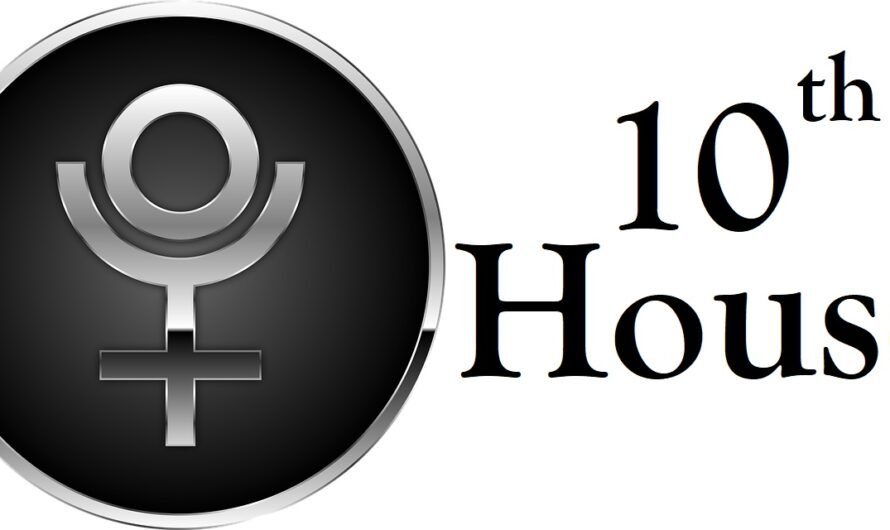 Pluto in 10th House