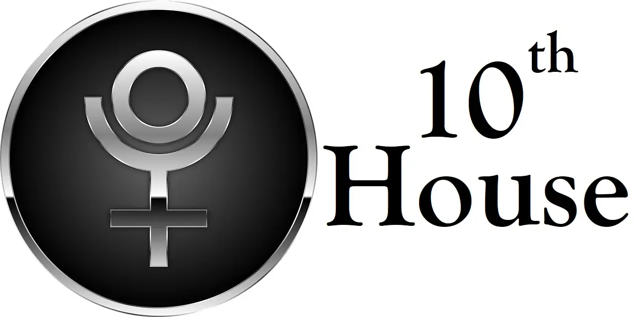 Pluto in 10th House