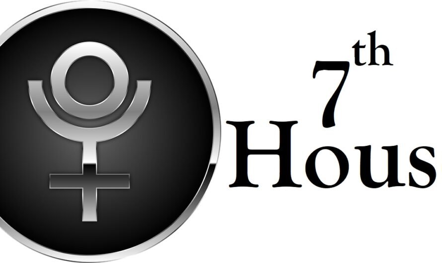 Pluto in 7th House