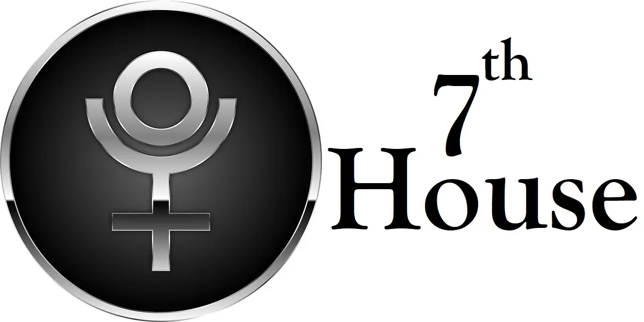 Pluto in 7th House
