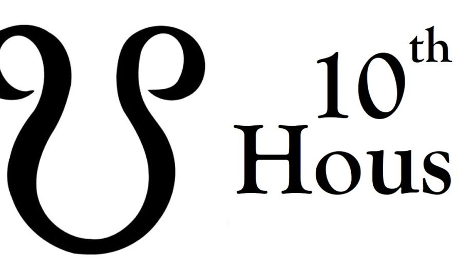 South Node in 10th House