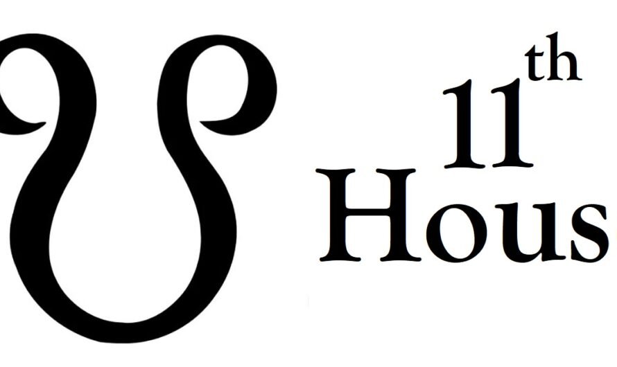 South Node in 11th House