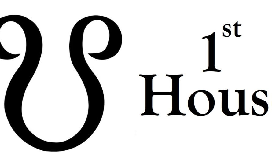 South Node in 1st House