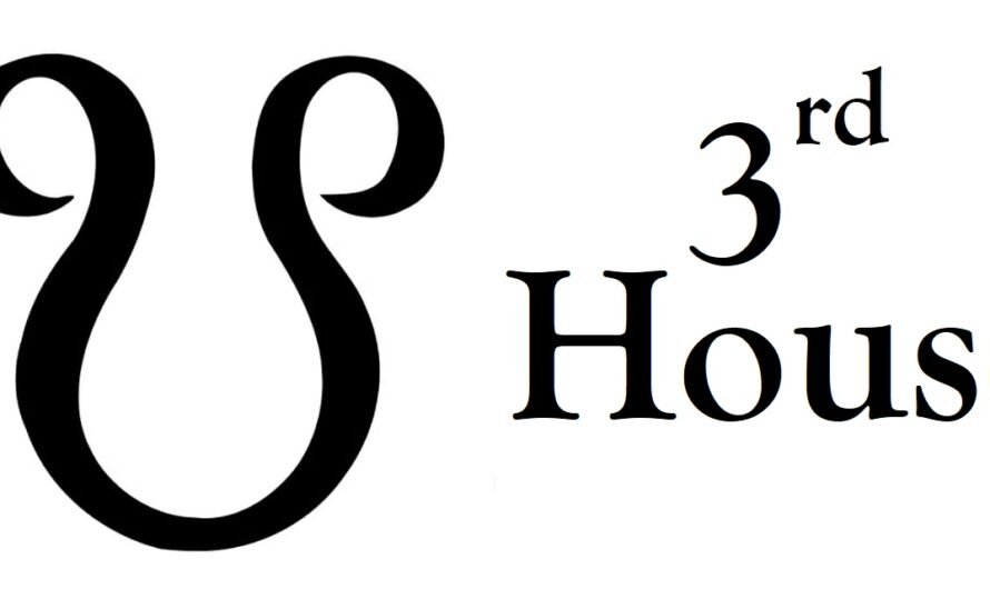 South Node in 3rd House