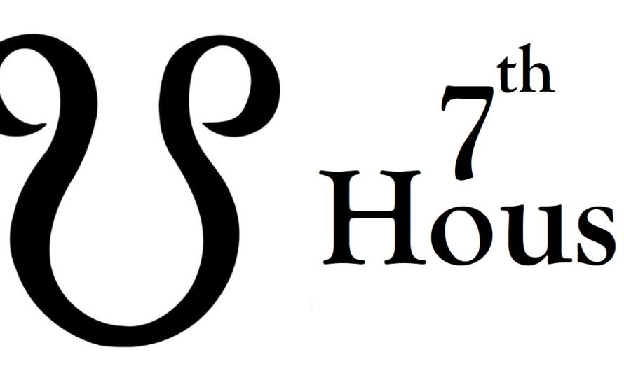 South Node in 7th House