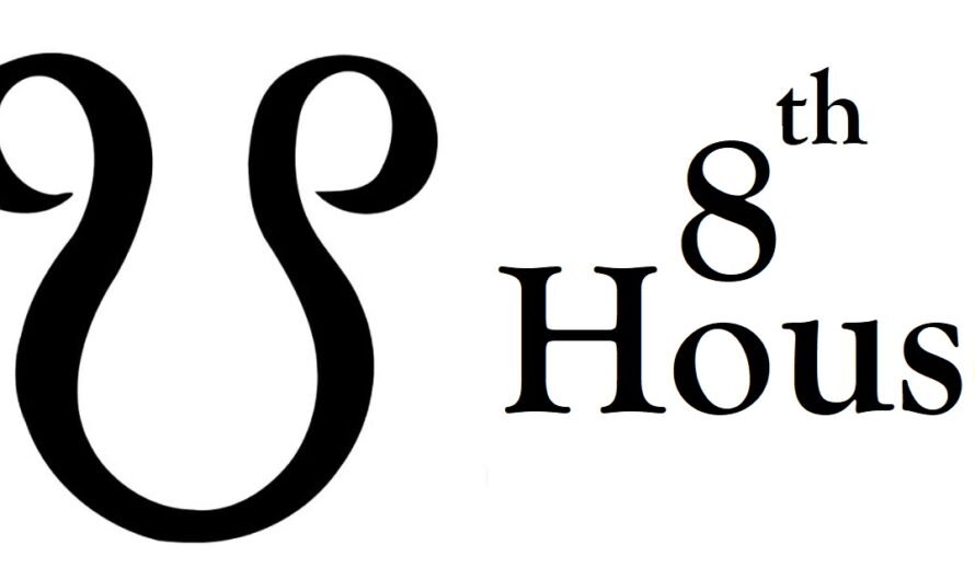 South Node in 8th House