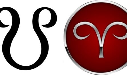 South Node in Aries