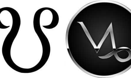 South Node in Capricorn
