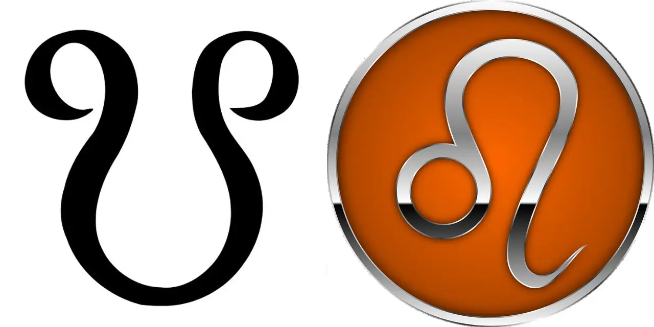 South Node in Leo