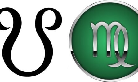 South Node in Virgo