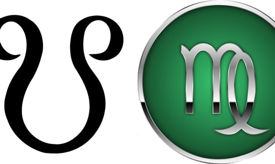 South Node in Virgo