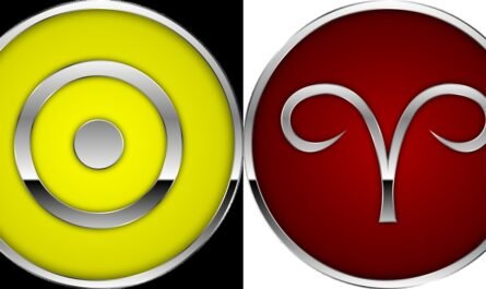Sun In Aries