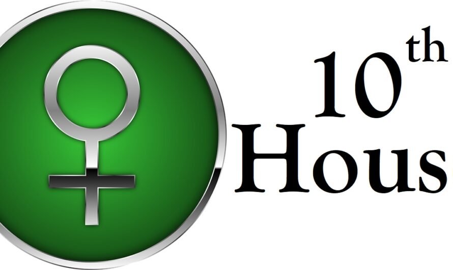 Venus in 10th House