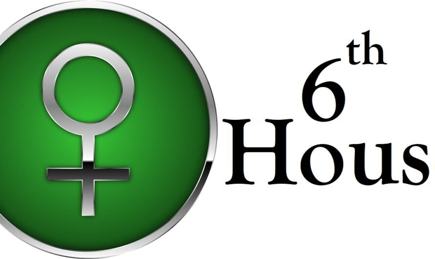 Venus in 6th House