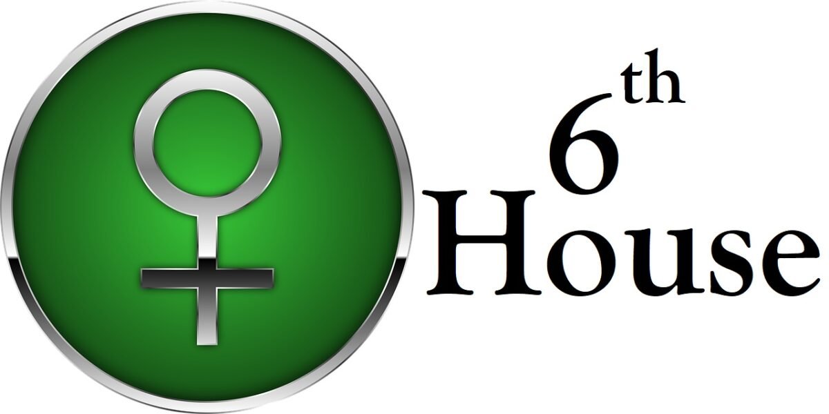Venus in 6th House