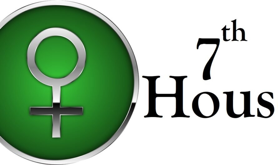 Venus in 7th House